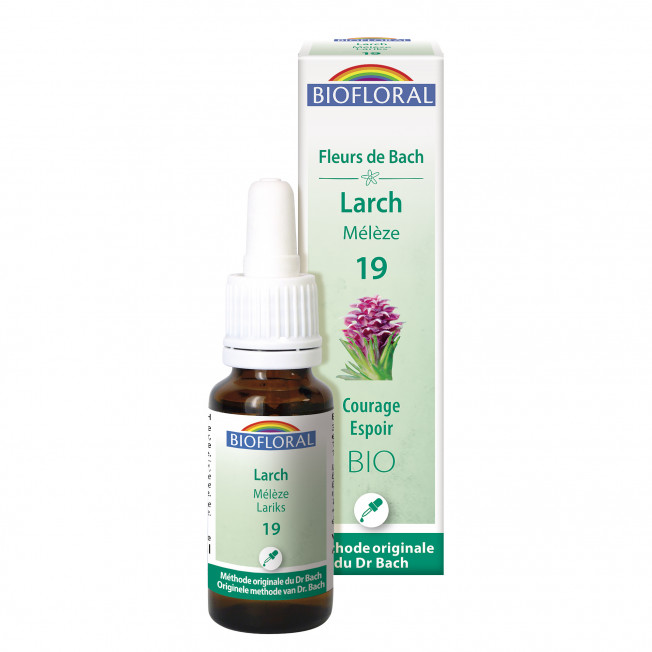 19 - Larch - organic - 20 ml
