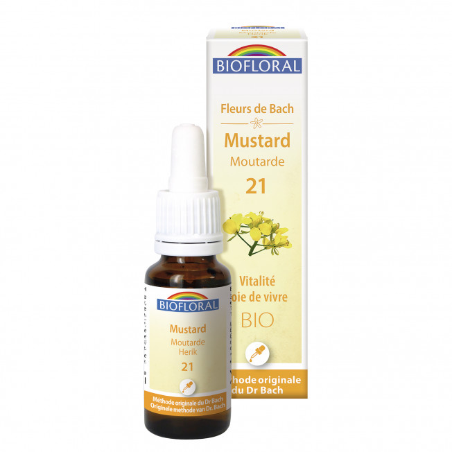 21 - Mustard - organic - 20 ml