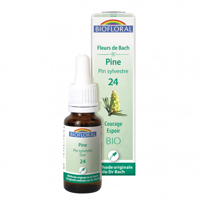 24 - Pine - organic - 20 ml