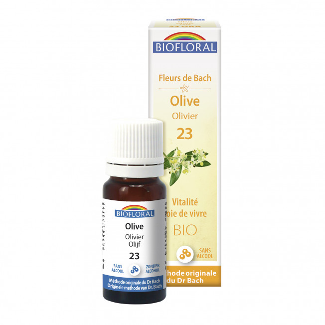 Olivenbaum-Olive, Globuli - 10 ml