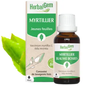 Myrtillier : macérat-mère - bio 30ML