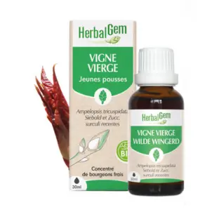 Vigne vierge : macérat-mère - bio 30 ml