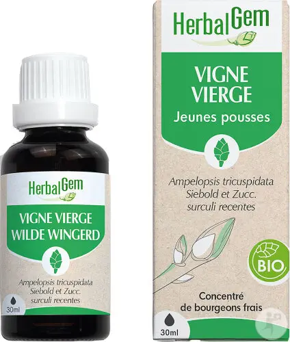 Vigne vierge : macérat-mère - bio 30 ml