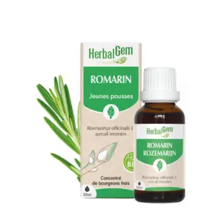 Rosemary: Mother Tincture - Organic 30 mL