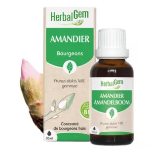 Amandelboom maceraat - bio