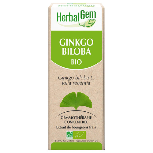 Ginkgo bud extract - organic