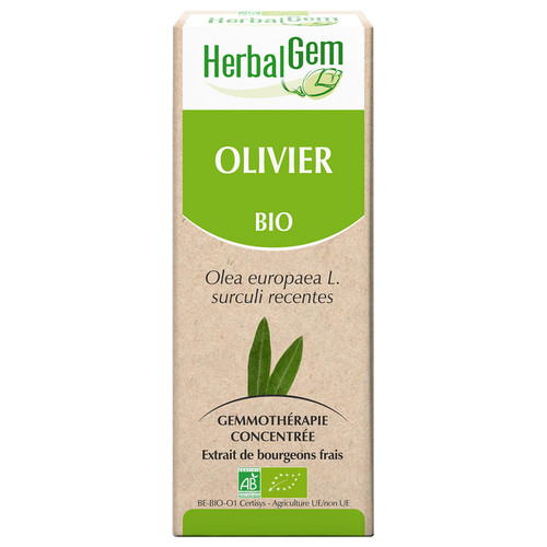 Olive bud extract - organic