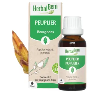 Schwarz-Pappel Glycerinmazerat - bio