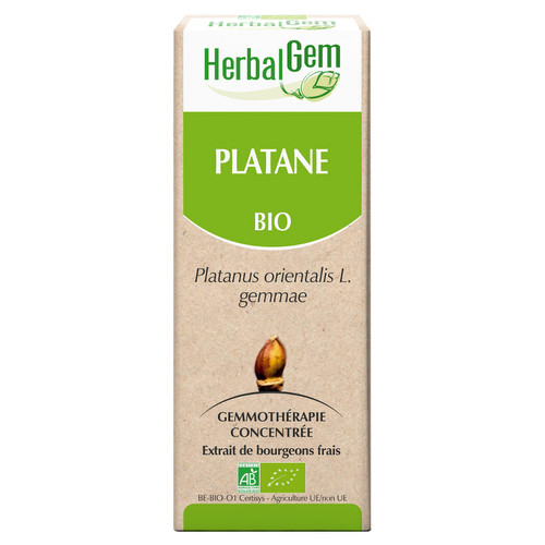 Platane Glycerinmazerat - bio