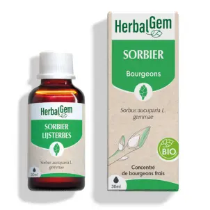 SORBIER BIO 30 ML