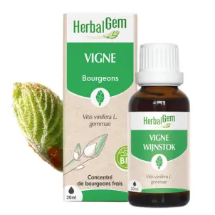 VIGNE BIO 30 ML