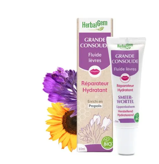 Grande consoude fluide lèvres 10ml