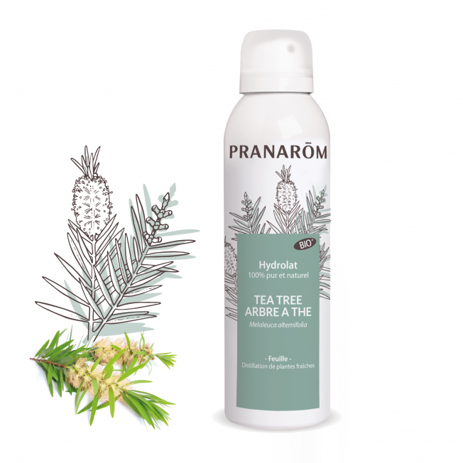 TEEBAUM - 150ML