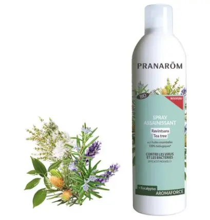 Spray assainissant Ravintsara - Tea Tree - 150 ml