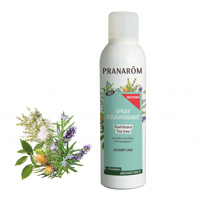 Spray assainissant Ravintsara - Tea Tree - 150 ml