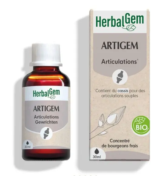 ARTIGEM - GC02 - organic
