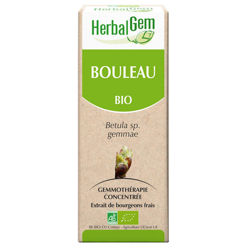 Bouleau (macérat glycériné de) - bio