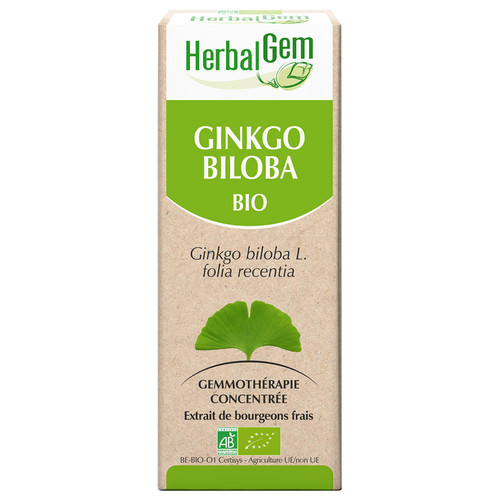 Ginkgo : macérat-mère - bio