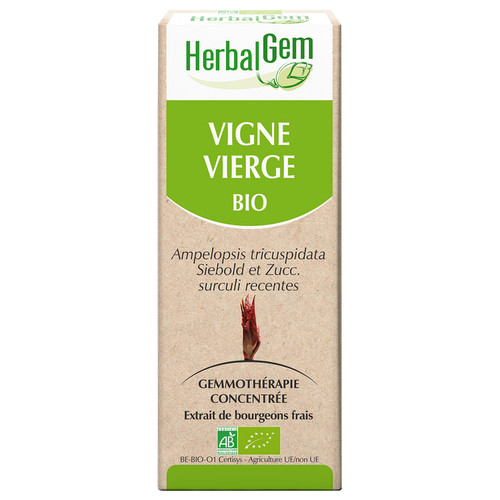 Vigne vierge : macérat-mère - bio