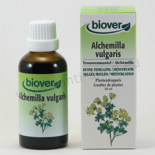 Alchemilla vulgaris - Alchemilla moedertinctuur - biologisch