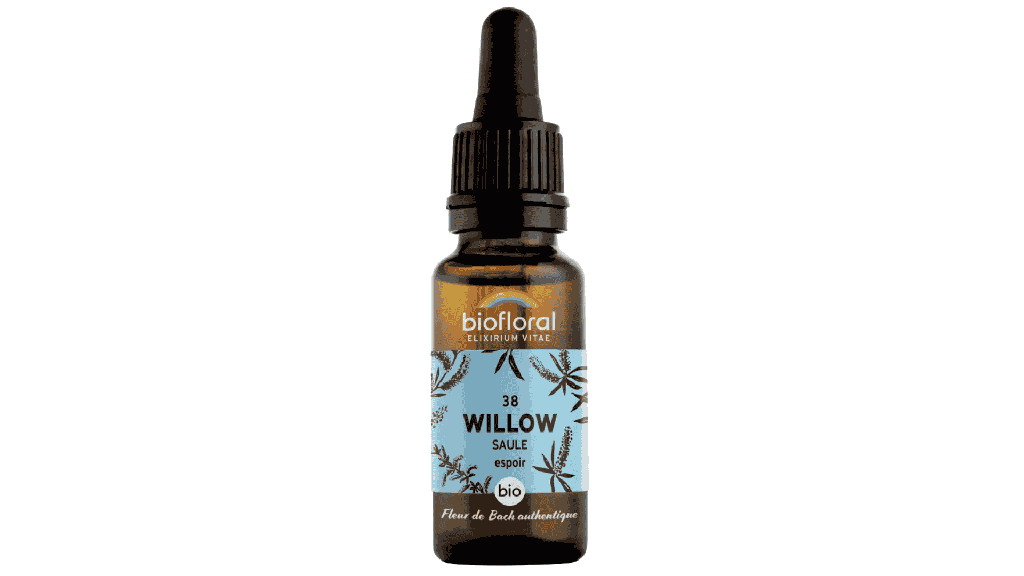 38 Wilg - Saule biologische Demeter