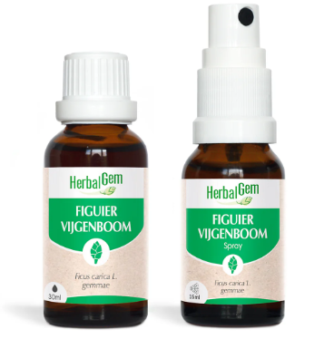 Duoverpakking vijgenknop 30 ML + 15 ML