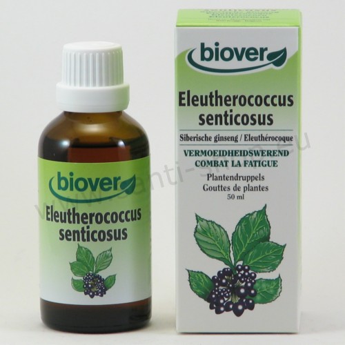 Eleutherococcus senticosus tincture - Siberian ginseng - organic