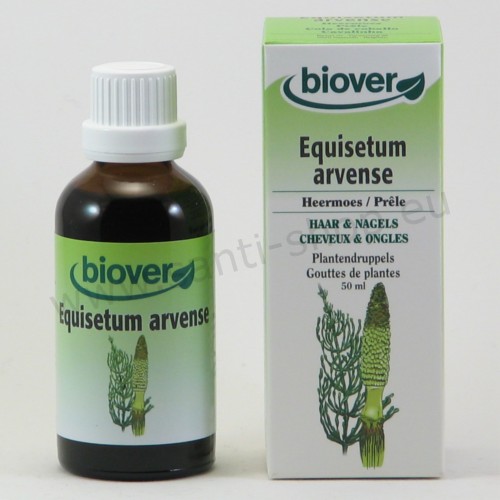 Equisetum arvense - Teinture mère Prêle - bio