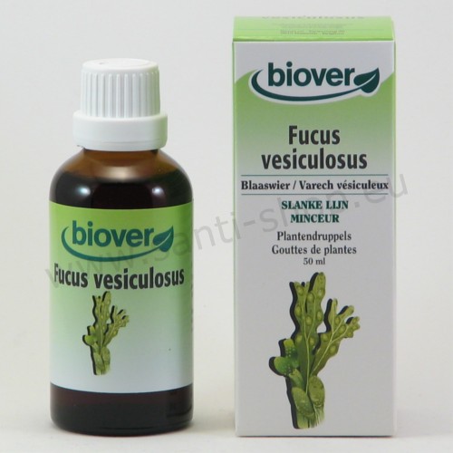 Fucus vesiculosus - Teinture mère Varech vésiculeux