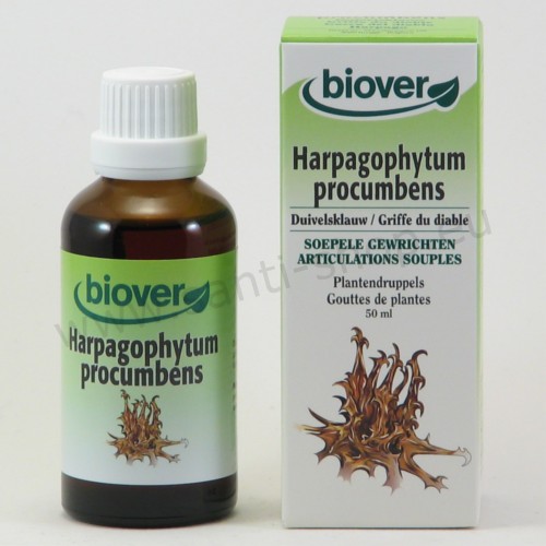 Harpagophytum procumbens tinctuur - Duivelsklauw - bio