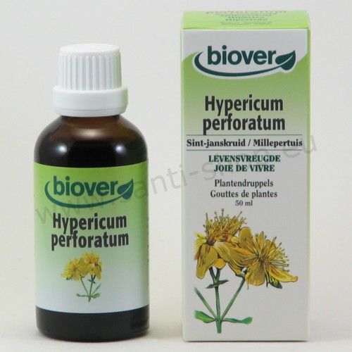 Hypericum perforatum Urtinktur - Echtes Johanniskraut - bio