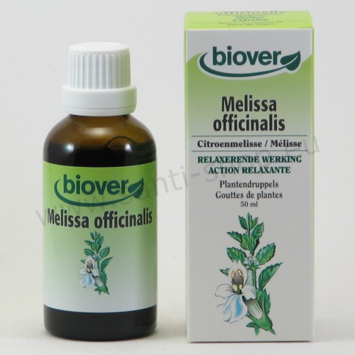 Melissa officinalis Urtinktur - Zitronenmelisse - bio