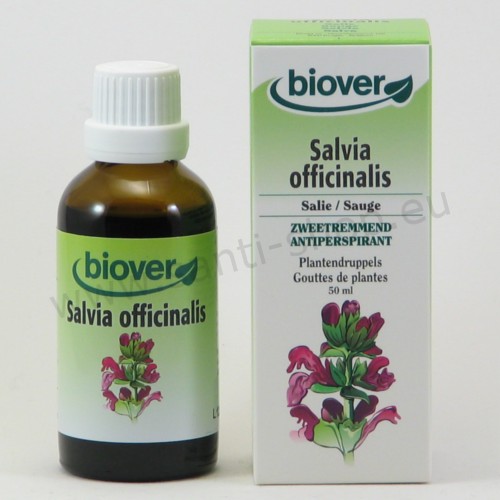 Salvia officinalis - Salbei Urtinktur - bio