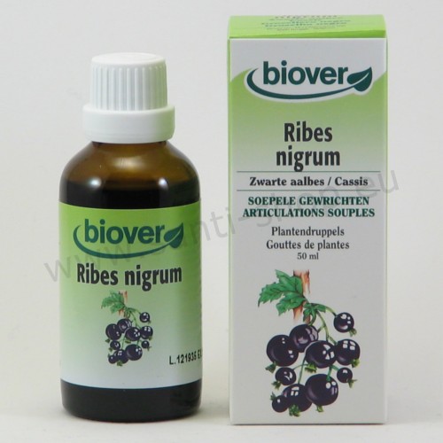 Ribes nigrum - Teinture mère de Cassis - bio