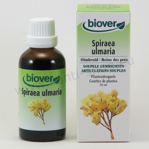 Spiraea ulmaria - Teinture mère de Reine des prés - bio