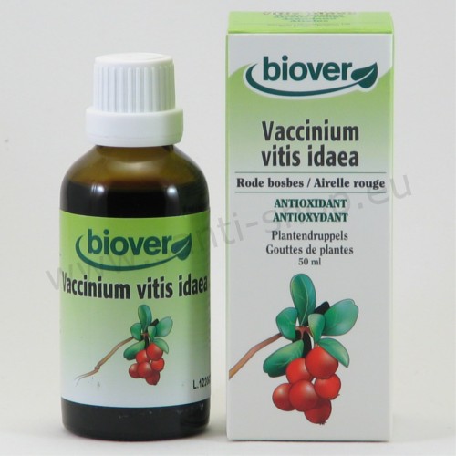 Vaccinium vitis-idaea - Teinture mère d'Airelle rouge - bio