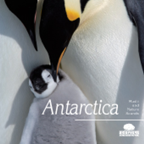 Antarctica - musique