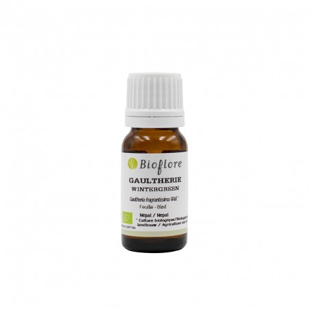 [BF010] Indische Wintergrün ätherisches Öl - bio