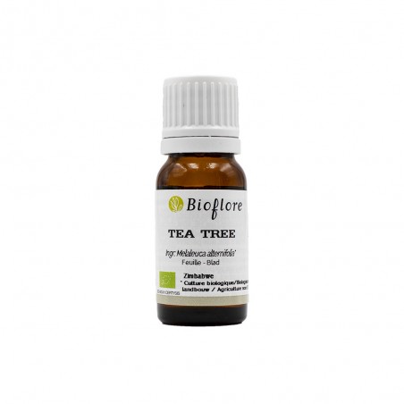 [BF030] Tea tree - Theeboom - biologisch