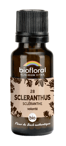 [BI116] Scléranthe Fleur de Bach G28 - granules bio, sans alcool