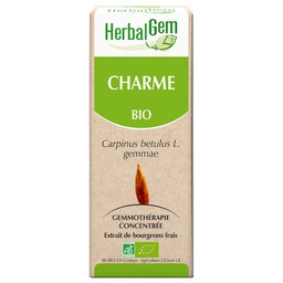 [HE137] Charme (macérat glycériné d') - bio