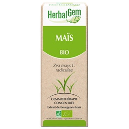 [HE142] Maize bud extract - organic