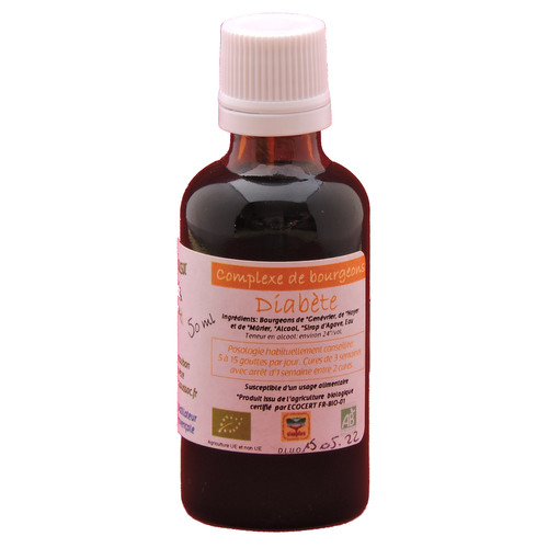 [FD004] DIABETE - Bud Complex - organic