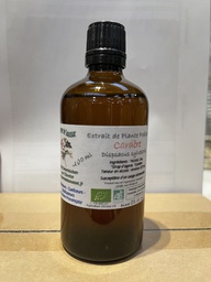 [HB001] Cardera (mother tincture of) - Organic