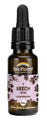 [BI159] Beech - Hêtre - bio - 20 ml