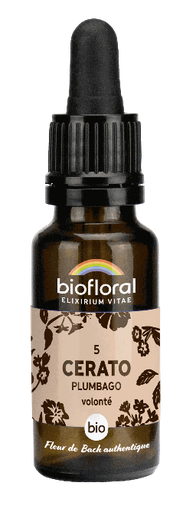 [BI161] Cerato - Bleiwurz - bio - 20 ml