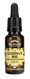 [BI156] 07 - Chestnut Bud - organic - 20 ml