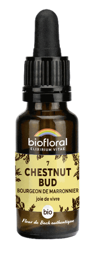 [BI156] 07 - Chestnut Bud - Bourgeons marronnier - bio - 20 ml