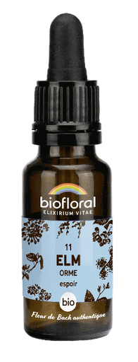 [BI163] 11 - Elm - organic - 20 ml
