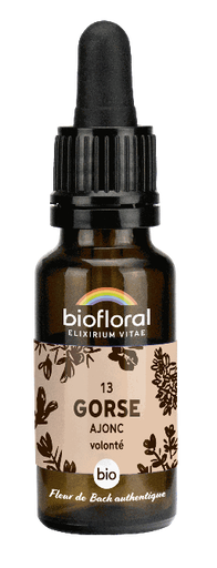 [BI164] 13 - Ajonc - bio - 20 ml